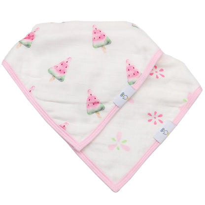 Goosewaddle bib set watermelon popsicle and flowers